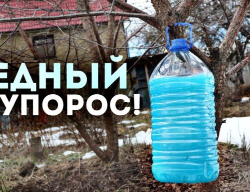 Медный купорос – свойства и применение